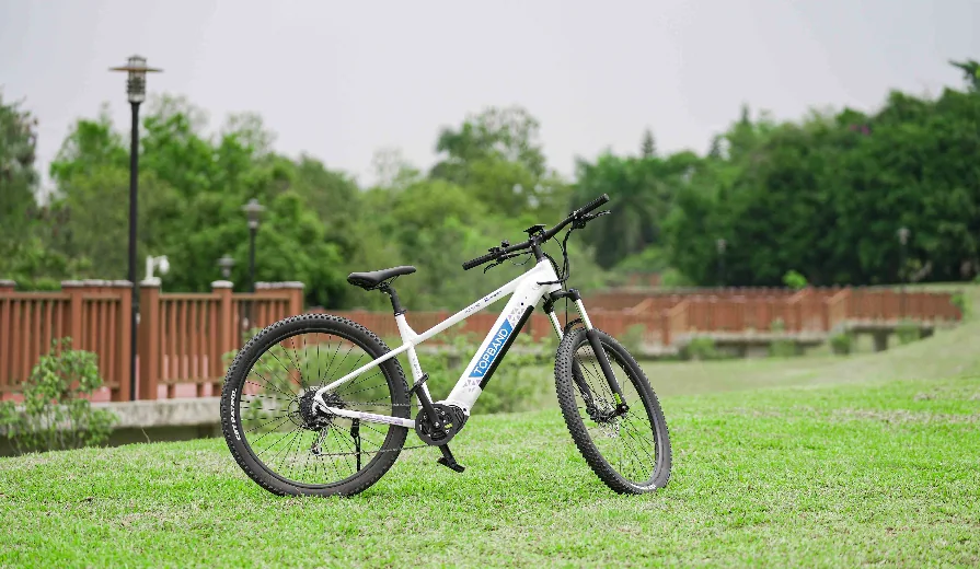 Electric bicycle representing lithium battery adoption in light mobility