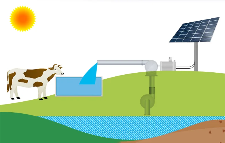 Diagram of a photovoltaic-powered solar water pumping system